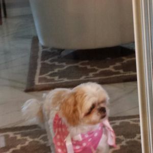 Meet your Posher, Alma